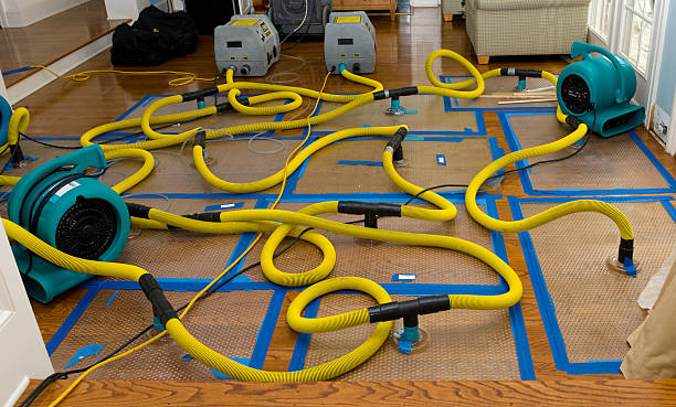 Professional Water Extraction technician working in Avon, MA